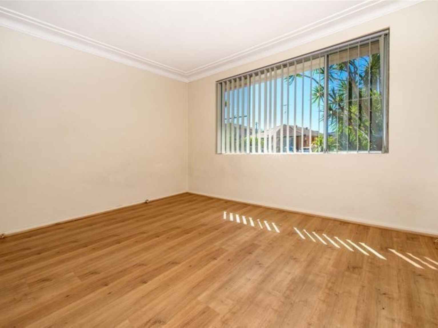 19 Alma Road Maroubra