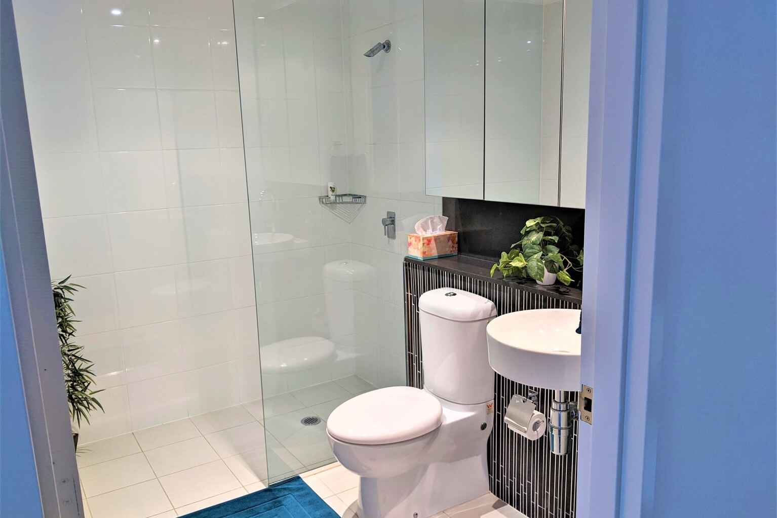 543/8 Ascot Avenue Zetland