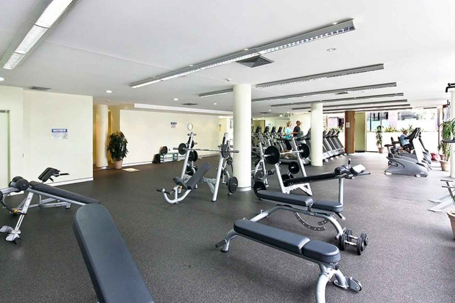 523/2 Lachlan Street Waterloo