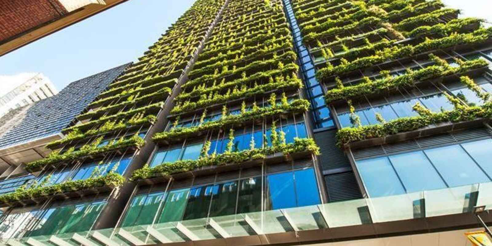 2406/3 Carlton Street Chippendale