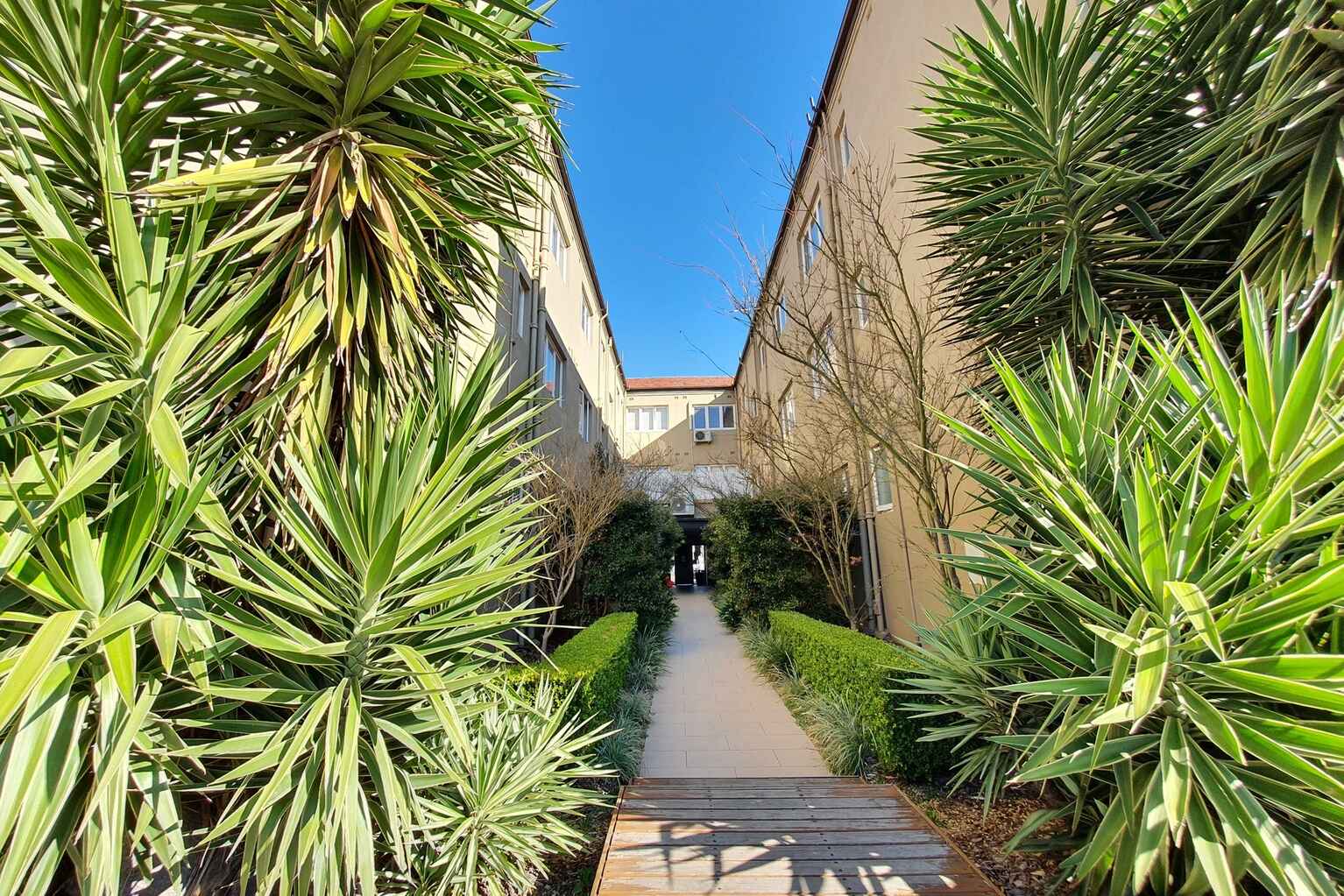 8/16 Maroubra Road Maroubra