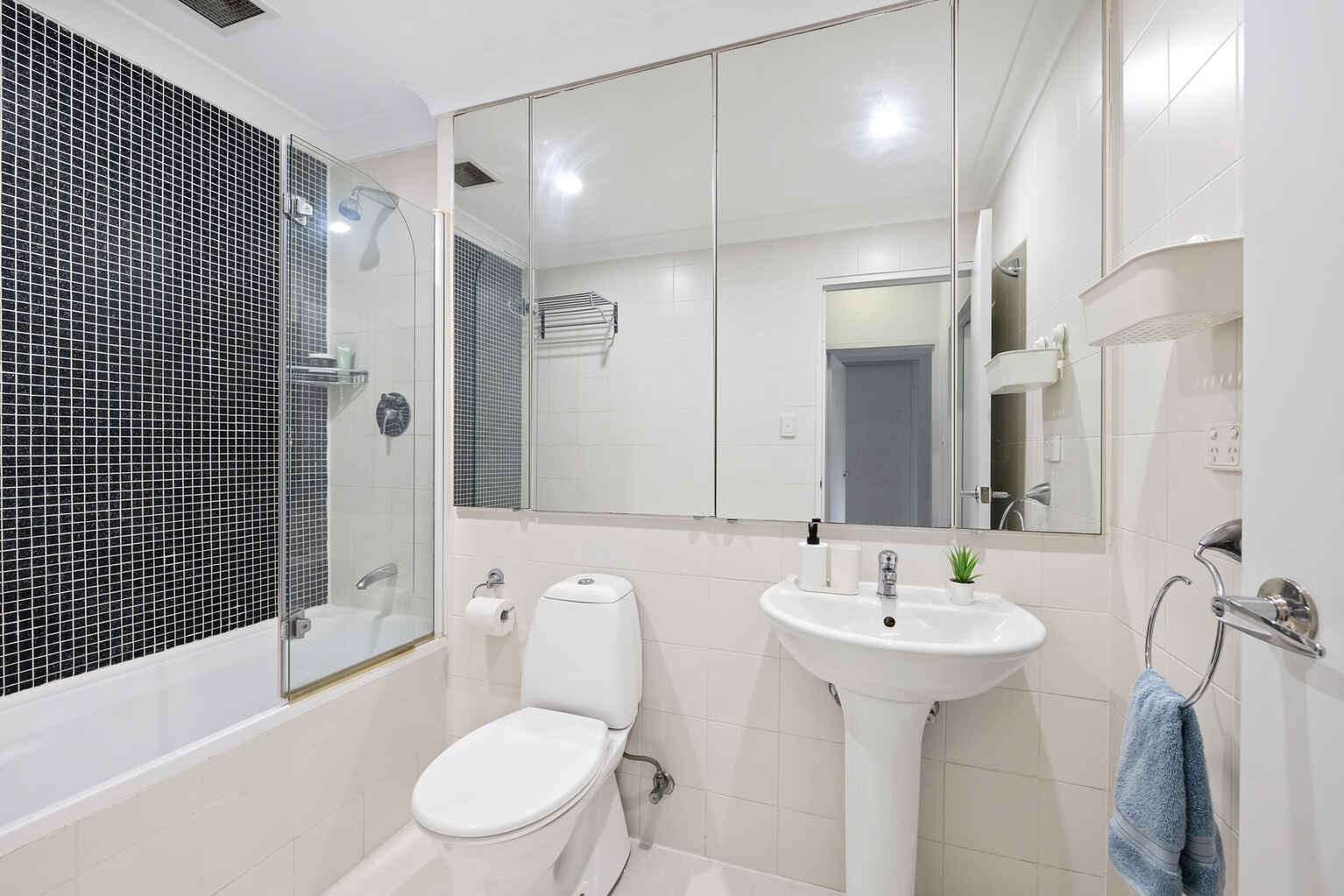 88/1 Shirley Street Alexandria