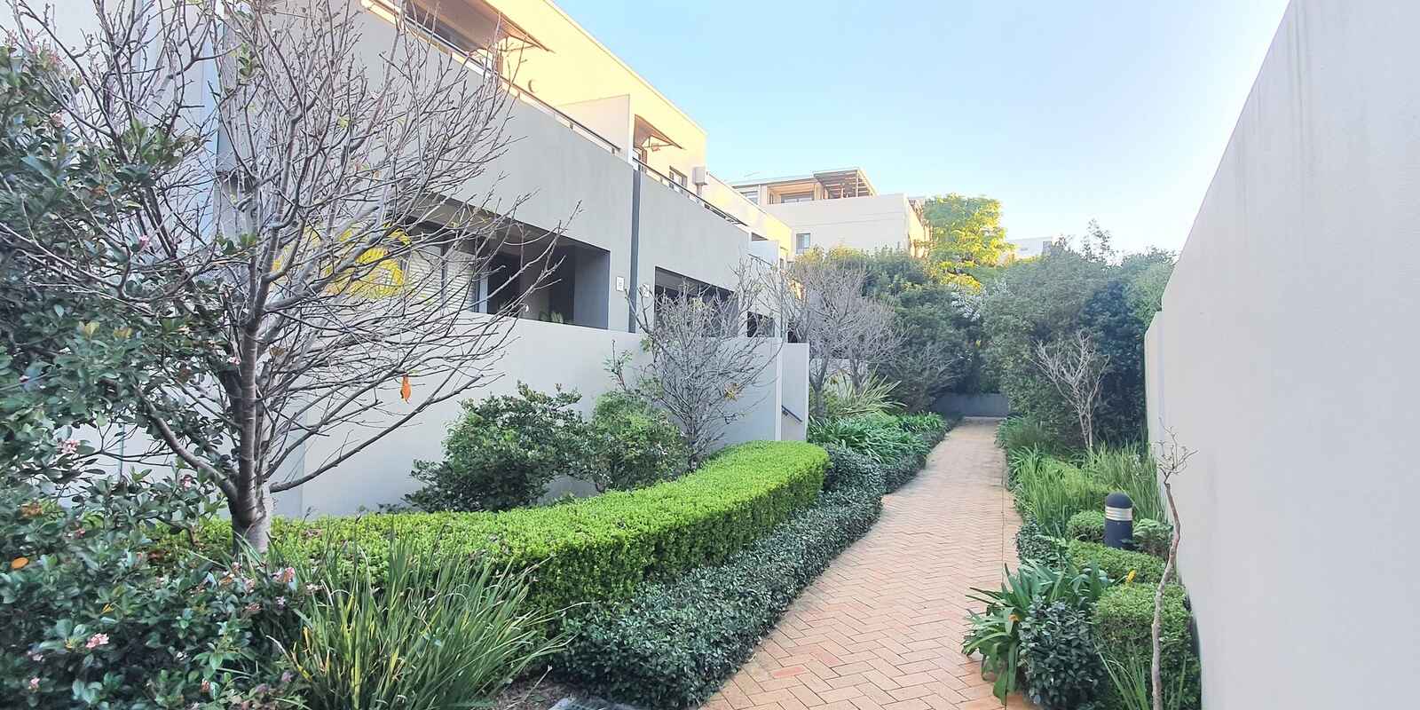 17/15 Begonia Street Pagewood