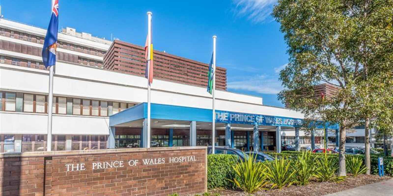 10 Marida Street Randwick