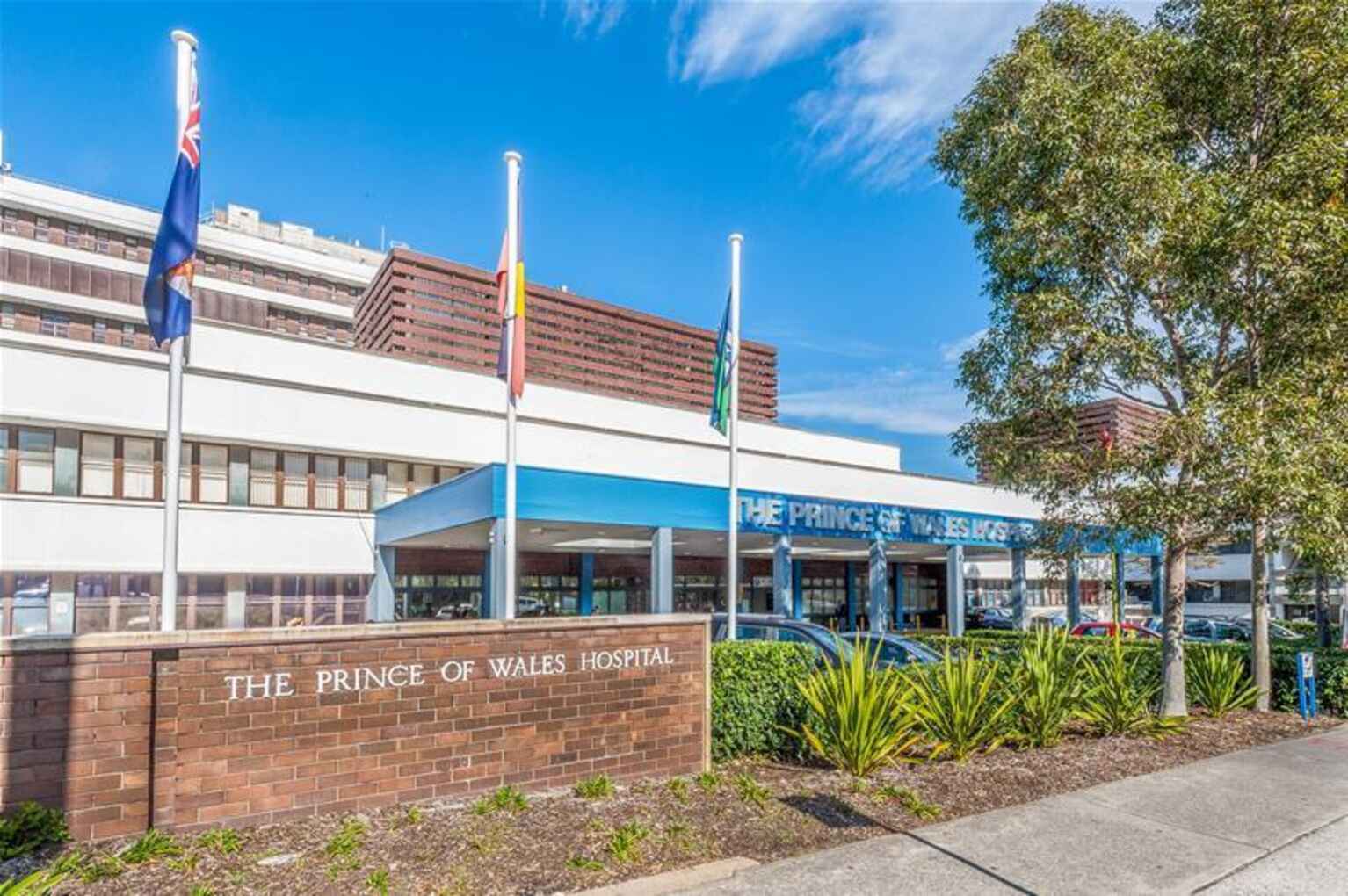 10 Marida Street Randwick