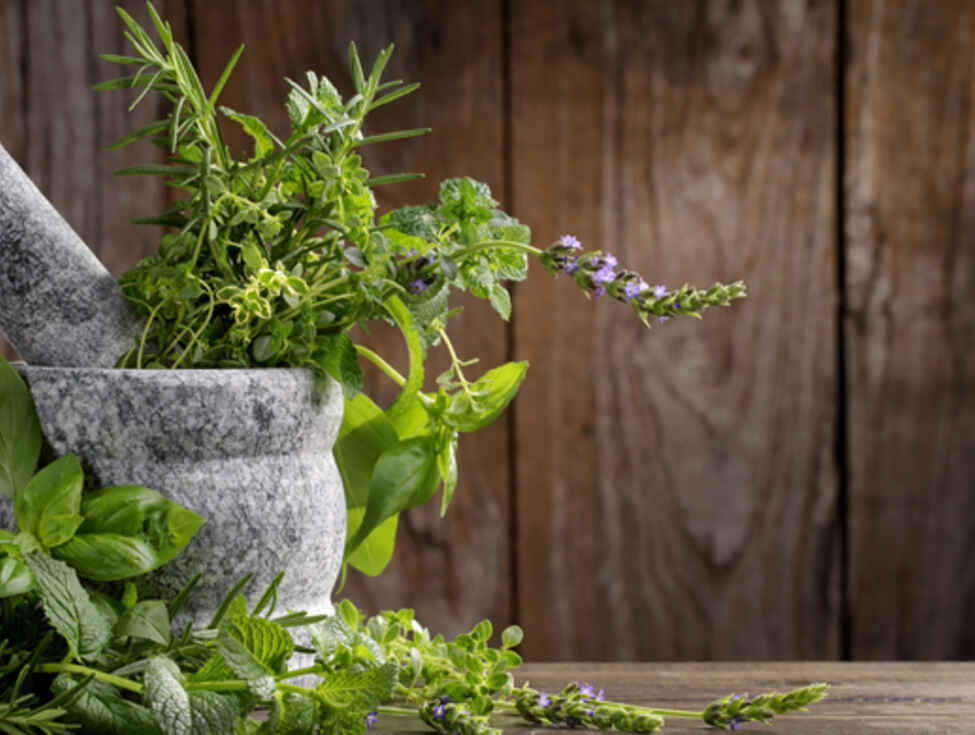 indoor herb garden download free