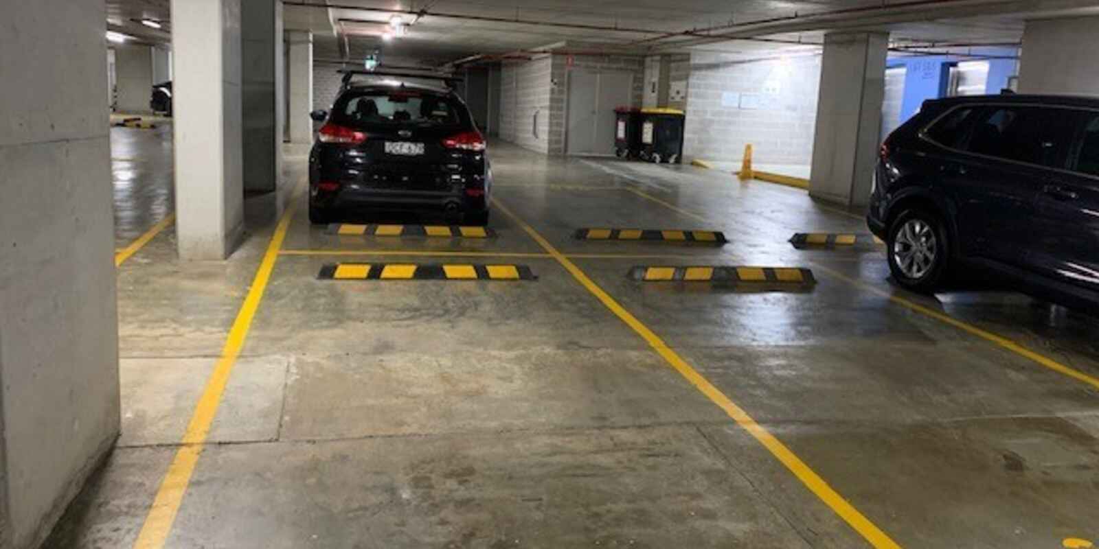 310c/1 Muller Lane Mascot